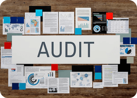 Reporting & Audit Support